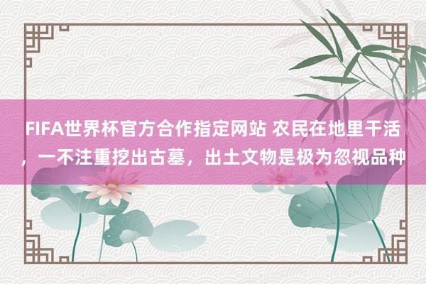 FIFA世界杯官方合作指定网站 农民在地里干活，一不注重挖出古墓，出土文物是极为忽视品种
