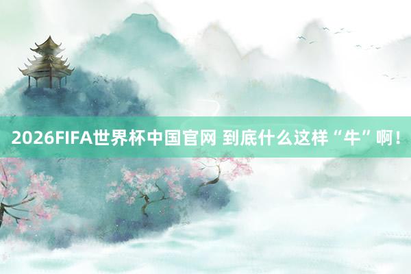 2026FIFA世界杯中国官网 到底什么这样“牛”啊!