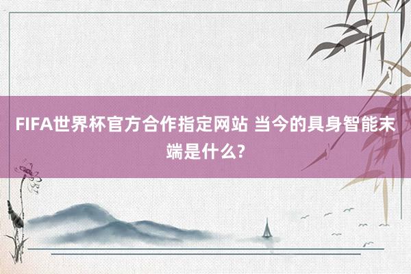 FIFA世界杯官方合作指定网站 当今的具身智能末端是什么?