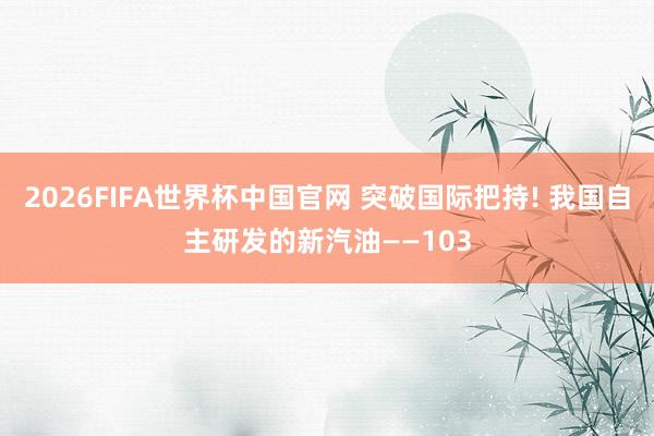 2026FIFA世界杯中国官网 突破国际把持! 我国自主研发的新汽油——103