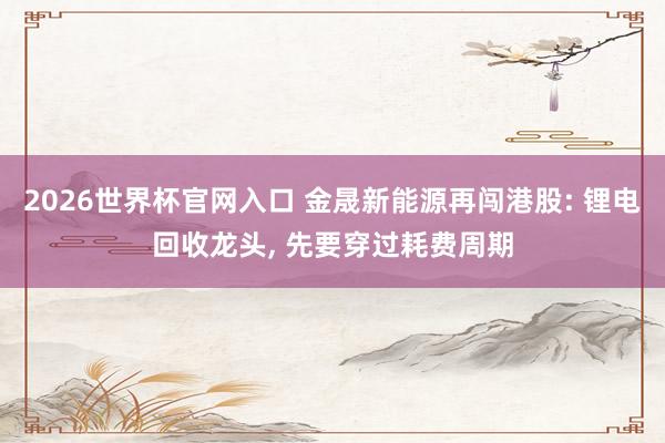 2026世界杯官网入口 金晟新能源再闯港股: 锂电回收龙头， 先要穿过耗费周期
