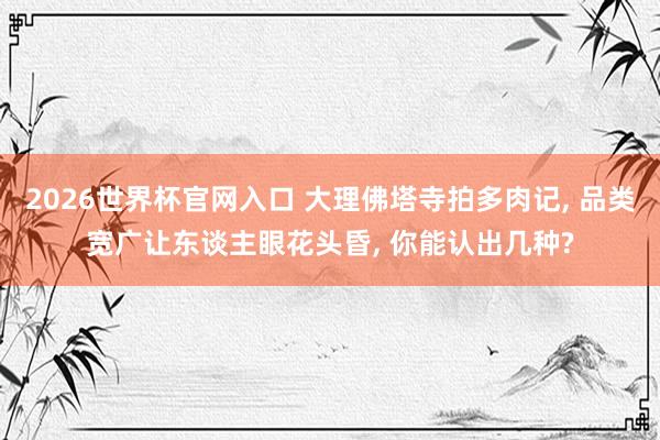 2026世界杯官网入口 大理佛塔寺拍多肉记, 品类宽广让东谈主眼花头昏, 你能认出几种?