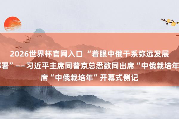 2026世界杯官网入口 “着眼中俄干系弥远发展作出的策略部署”——习近平主席同普京总悉数同出席“中俄栽培年”开幕式侧记