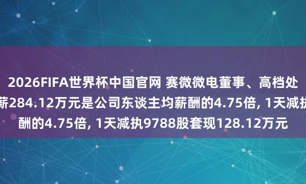 2026FIFA世界杯中国官网 赛微微电董事、高档处理东谈主员赵建华年薪284.12万元是公司东谈主均薪酬的4.75倍, 1天减执9788股套现128.12万元