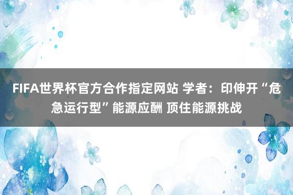 FIFA世界杯官方合作指定网站 学者:印伸开“危急运行型”能源应酬 顶住能源挑战