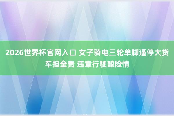 2026世界杯官网入口 女子骑电三轮单脚逼停大货车担全责 违章行驶酿险情