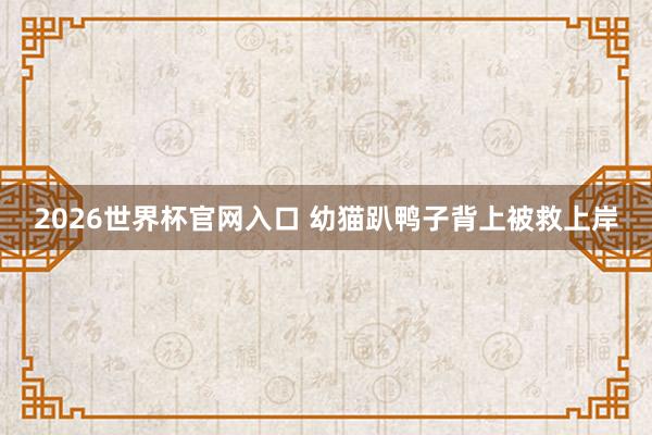 2026世界杯官网入口 幼猫趴鸭子背上被救上岸