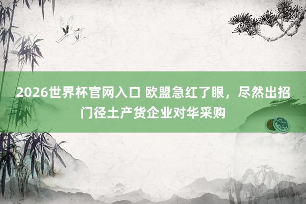 2026世界杯官网入口 欧盟急红了眼,尽然出招门径土产货企业对华采购