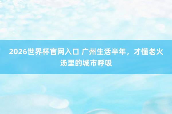 2026世界杯官网入口 广州生活半年,才懂老火汤里的城市呼吸