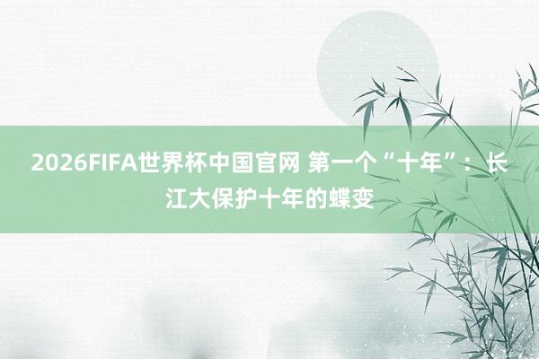 2026FIFA世界杯中国官网 第一个“十年”:长江大保护十年的蝶变