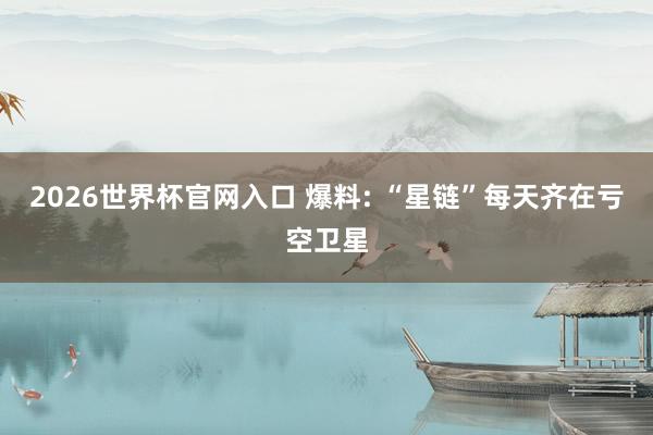 2026世界杯官网入口 爆料: “星链”每天齐在亏空卫星