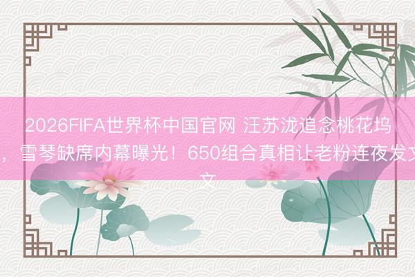 2026FIFA世界杯中国官网 汪苏泷追念桃花坞6,雪琴缺席内幕曝光!650组合真相让老粉连夜发文