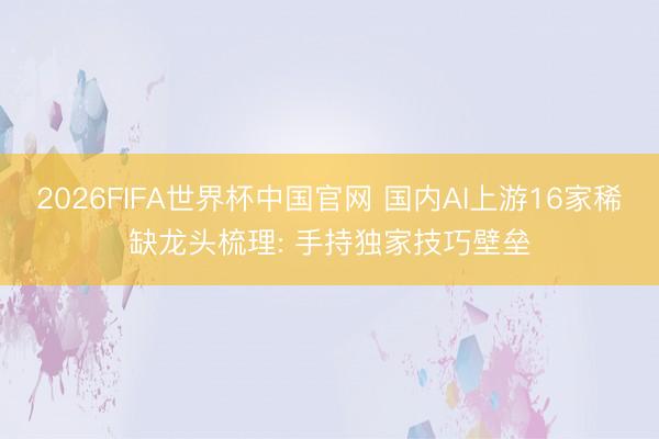 2026FIFA世界杯中国官网 国内AI上游16家稀缺龙头梳理: 手持独家技巧壁垒